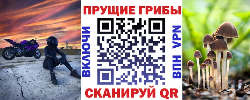 mega онион как найти закладки Домодедово Галлюциногенные грибы Magic Shrooms